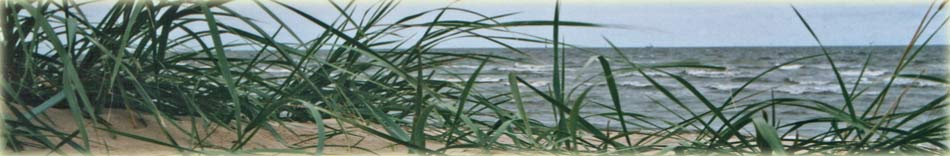 Foto Duene in Cuxhaven